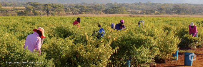 Zimbabwe gets $10 million to h